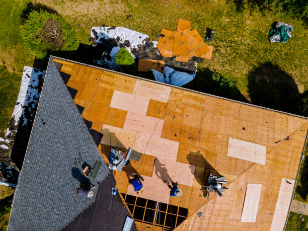 Best Roof Maintenance Services  in Breckinridge Center, KY