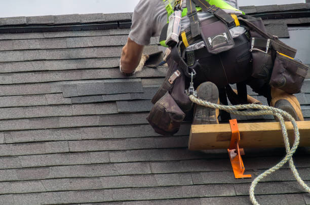 Best Roof Waterproofing Services  in Breckinridge Center, KY